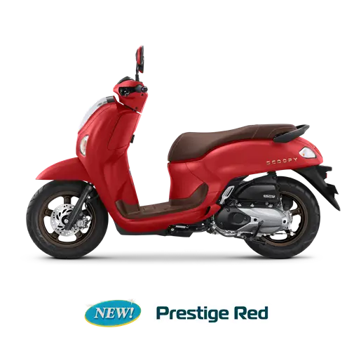 Honda Scoopy 10