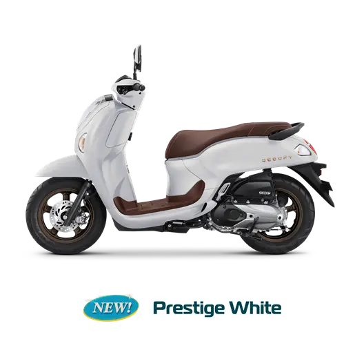 Honda Scoopy 8